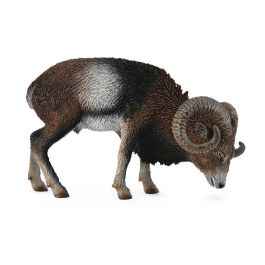 Muflon Europeo -L- 88682 Collecta Precio: 7.9618. SKU: B18BRWY8W9