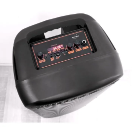 Inovalley Altavoz Karaoke KA25-FIRE Bluetooth V5.0 64 cm 850 W Negro