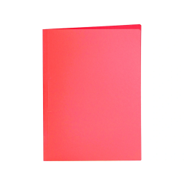 Liderpapel Subcarpeta Cartulina Folio Colores Surtidos Paquete de 25 Unidades