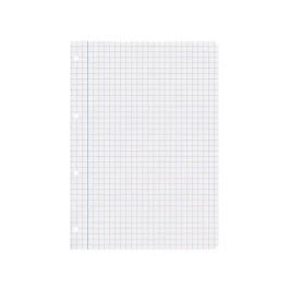 Liderpapel Recambio A4 100 Hojas 75gr Cuadro 8mm Con Margen 4 Taladros