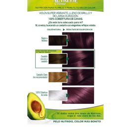 Garnier #4.26-violín Nutrisse Crème Coloración Permanente 100% Cobertura Canas, Nutritiva con 3 Aceites 3 Unidades