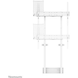 Soporte TV Neomounts WL55-875WH1