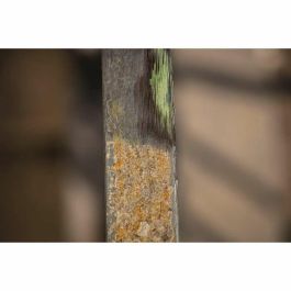 Scheppach SCH4014915231554 Cepillo de metal para Renovator y Surfacer MRS1300