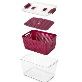 Cook Concept Hermético Nevera con 2 Compartimentos y Cesta Ventilada Coup De Fraiche 28.5x18.5x15.5 cm