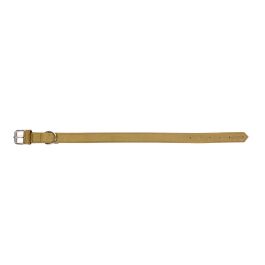 Gloria Collar Oasis para Perro de Piel Nobuck Verde Doble Capa Reforzado y Duradero 70 cm x 30 mm