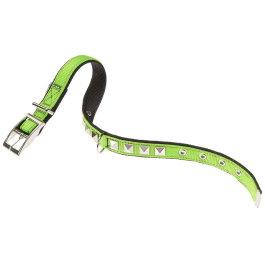 Ferplast Collar Dual Cf25 45 green Black Precio: 12.94999959. SKU: B1559PRL46