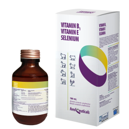Vitamin B1 Vitamin E Selenium Precio: 25.4999998. SKU: B16VF3PDGR