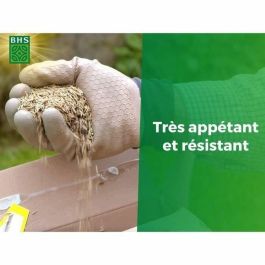 BHS BHS3366671901068 Césped Espace Nature 1kg - 40m² | Rico en proteínas, rápido y homogéneo para bienestar animal al aire libre.