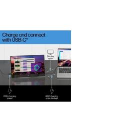 HP E14 G4 Monitor Portátil con Conexión USB-C, Pantalla Extra Brillante y Soporte Abatible para Máxima Productividad y Trabajo Flexible