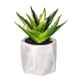 Atmosphera Planta Decorativa en Maceta de PVC Verde 7x14cm - Modelos Surtidos