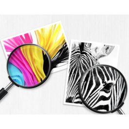 HP Tinte 950 CN049AE negro