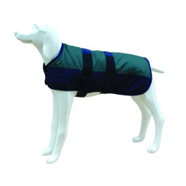 Freedog Chaqueta North Pole Model B Verde 30 cm Precio: 13.50000025. SKU: B1EV8MCAWH