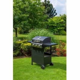 Fieldmann FZG 3003 Parrilla