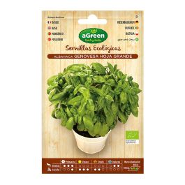 Agreen Sobre con semillas ecológicas de Albahaca Genovesa