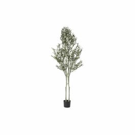 Árbol DKD Home Decor Poliéster Polipropileno Olivo 80 x 80 x 180 cm (80 x 80 x 180 cm) Precio: 152.50000018. SKU: B1DEAL2PNF