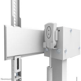 Soporte TV Neomounts WL55-875WH1