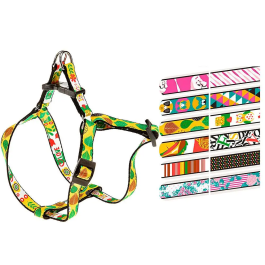 Ferplast Arnés Fantasia P S para Perro Ajustable 35-53 cm 15 mm Precio: 12.50000059. SKU: B1GNVNDCEG
