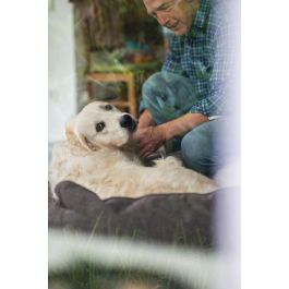 Hunter Sofá Boston 80x60 cm Marrón para Perros, Cómodo con Funda Extraíble y Lavable