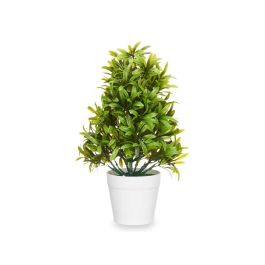 Planta Decorativa Ibergarden 547 Plástico 18 x 35 x 16 cm (6 Unidades) Planta Decorativa Ibergarden 547 Plástico 18 x 35 x 16 cm (6 Unidades)