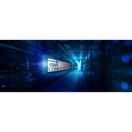 Kingston DC2000B SSD Enterprise Server M.2 960GB NVMe PCIe 4.0 x4 2280 - Lectura 7000 MB/s, Escritura 1300 MB/s