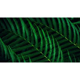 Philips Monitor 24B2G5200 23.8" (60.5cm) Full HD IPS 100Hz HDMI DP USB Antracita