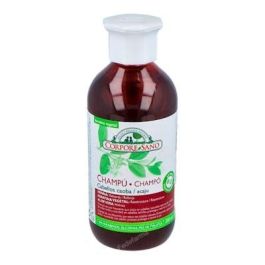 Champú Cabellos Caoba Precio: 10.50000006. SKU: B15T6T7CR8