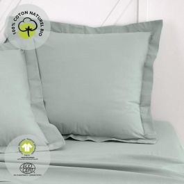 Today TOD3574643510570 Funda de almohada de algodón orgánico Celadón 63x63+5cm Precio: 19.59000043. SKU: B19A92GVMR