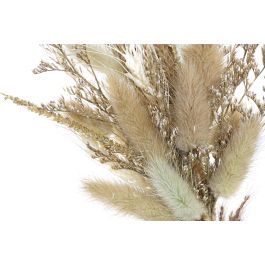 DKD Home Decor Decoracion Shabby Beige Marron 6 x 21 x 16 cm (2 Unidades)