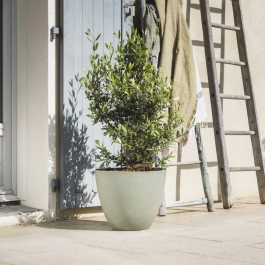 Eda Element - Maceta Redonda para Interior/Exterior, Sistema de Drenaje, Diámetro 50 cm (48.8x38.4 cm), 47.8 L, Color Caqui