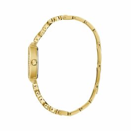 Reloj Mujer Guess (Ø 26 mm)