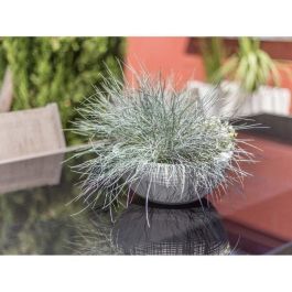 EDA PLASTIQUE Maceta de lavabo Graphit'Up Ø 30 cm 5.5L Blanco cal - Resistente a heladas, 100% reciclable Interior y Exterior