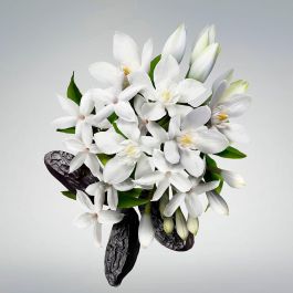 Carolina Herrera Good Girl Gel de Ducha Transparente 200 mL