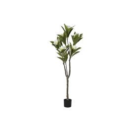 Arbol Tropical DKD Home Decor Blanco Verde 80 x 150 x 80 cm Arbol Tropical DKD Home Decor Blanco Verde 80 x 150 x 80 cm