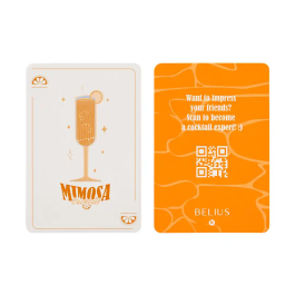 Belius Cocktails Bolígrafo y Tarjetero de Aluminio y Símil Piel, Naranja Plateado con Tinta Azul, Protección RFID, Caja Diseño