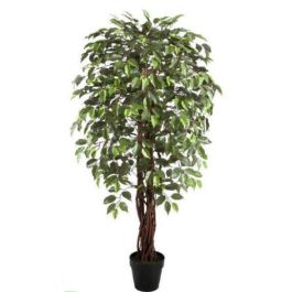 Planta  DKD Home Decor Verde 80 x 150 x 80 cm (2 Unidades) Precio: 155.68999941. SKU: B13EF6C8AG