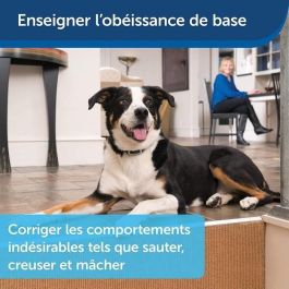 Petsafe Sistema de Entrenamiento y Apoyo Educativo para Perros 600m, Estimulación Electrostática, Vibración, Sonido, Impermeable, Recargable Petsafe Sistema de Entrenamiento y Apoyo Educativo para Perros 600m, Estimulación Electrostática, Vibración, Sonido, Impermeable, Recargable