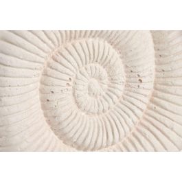 DKD Home Decor Hangzhou design 26b Decoración Mediterráneo Blanco 6.5 x 25 x 16 cm (2 Unidades) Cemento Metal Caracola