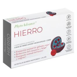 Phytoadvance Hierro 30 Past Blandas Mastic Precio: 14.4999998. SKU: B1DGWDWV4Q