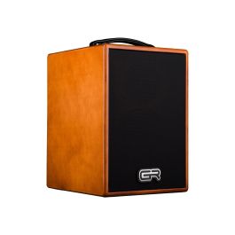 Gr Guitar Combo Acoustic In Wood 8" Precio: 1106.5000001. SKU: B1KGCS66XR