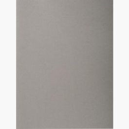 Exacompta Subcarpetas A4 Forever Color Gris 220 gr -100U- Precio: 19.49999942. SKU: S8406139
