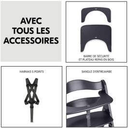 HAUCK HAU1731627400690 Trona Evolutiva BETA+ de Madera FSC con Arnés de 5 Puntos y Ruedas para Bebés de 6 Meses a 90 kg, Gris