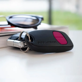 Scs Sentinel SimplyControl Mando a distancia 2 canales Fucsia, alcance 40m, frecuencia 433,92 MHz