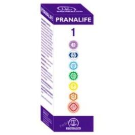 EQUISALUD Pranalife 1 Gotas 50ml - Estimulante Energía Ancestral, Fortalece Consolidación con Jengibre y Ginseng Precio: 25.7900005. SKU: B19H3GDNJN