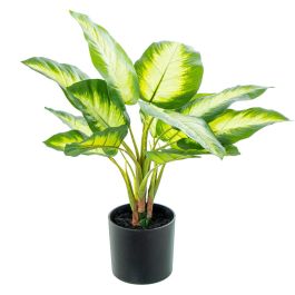 Planta Decorativa Alexandra House Living Plástico Aglaonema 50 cm Precio: 33.90000009. SKU: B1972JQLWM