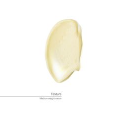 AESOP GERANIUM LEAF body balm 500 ml para hidratación profunda con aceites nutritivos y extractos cítricos para una piel radiante
