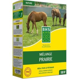BHS BHS1689087055127 Césped Meadow Mix 1kg (40m²) - Ideal áreas extensas, rápida instalación, duradero, sin mantenimiento Precio: 32.88999978. SKU: B1AJAEHSGE
