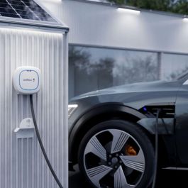 Enchufe de Alimentación Wallbox