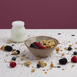 H.Koenig AUC3701335302230 Yogurtera con 12 botes