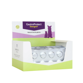 Stangest Gastroprotect Blister 120 Comp Suplemento para Proteger Mucosa Gástrica con Melena de León y Zinc Precio: 82.5. SKU: B1EVJEHQNQ