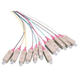 LOGON PROFESSIONAL LFP035 Set de Pigtails de Fibra Óptica 12x SC OM4 2M Conector Violeta LSZH Precio: 44.5000006. SKU: B1G7YACMXX
